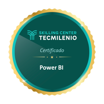 Insignia-power-bi